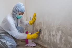 Mold Remediation for Rental Properties in Garrison, MD